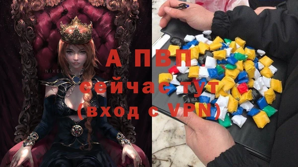 jwh Алзамай