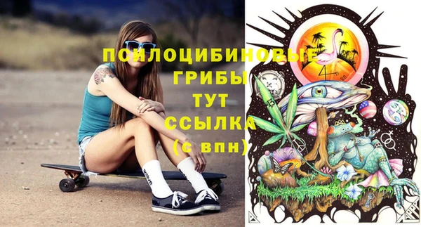 PSILOCYBIN Абаза