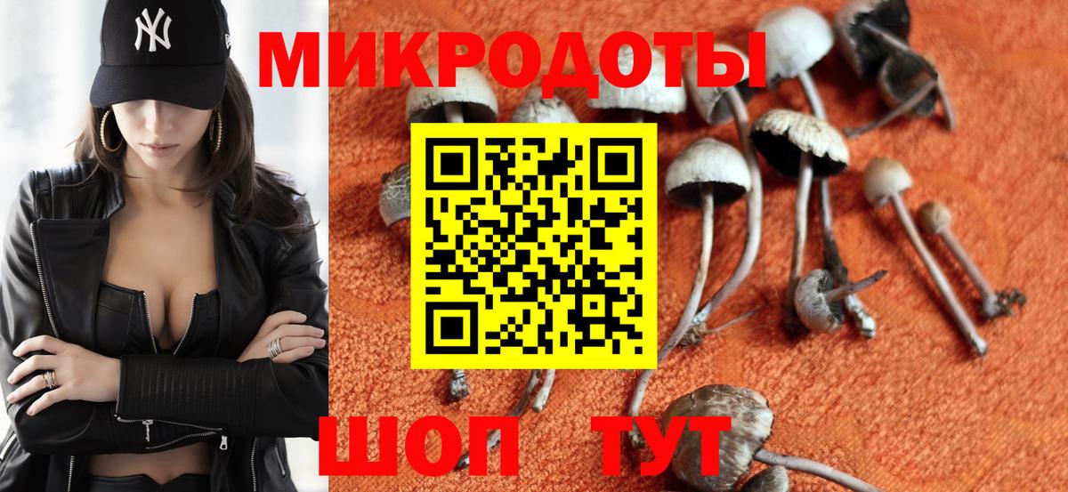 Галлюциногенные грибы Psilocybine cubensis Смоленск