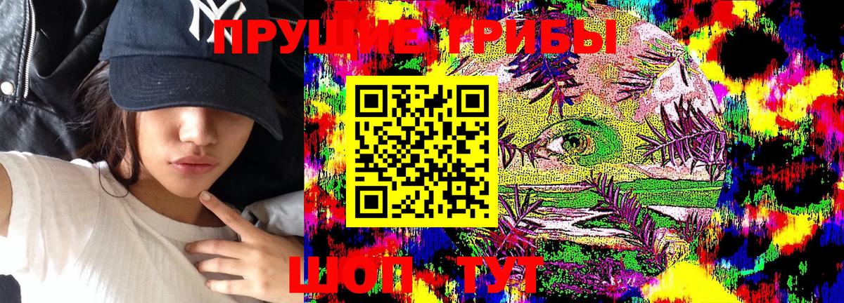Смоленск  Псилоцибиновые грибы Cubensis  Вход с VPN 